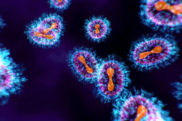 Nipah virus: What happens when the virus is inside the body, and how it attacks the brain |