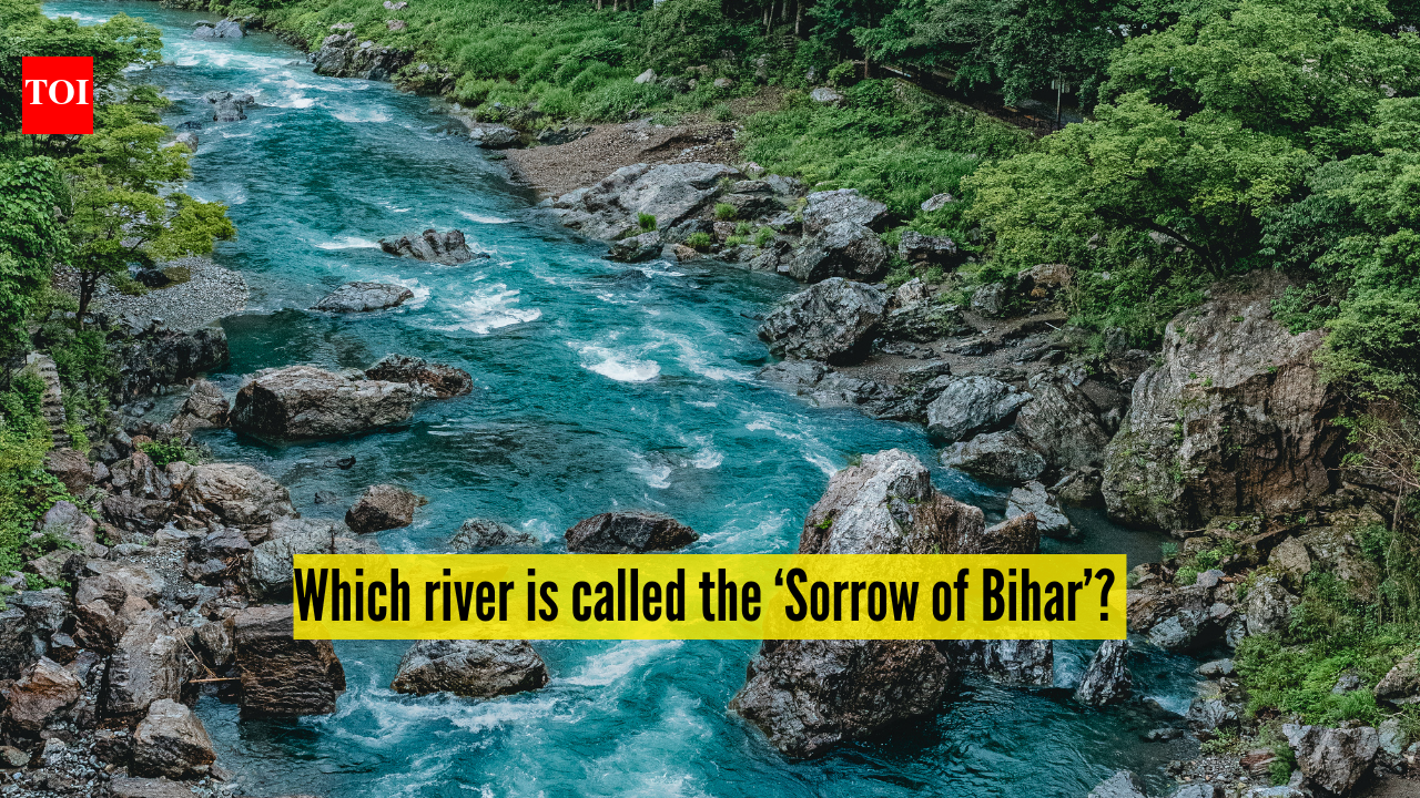 Which river is called the Sorrow of Bihar?