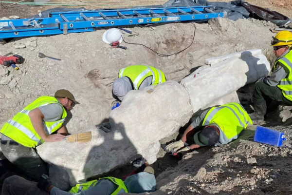 New dinosaur fossils found under a parking lot reveal a 100-year-old secret in Colorado