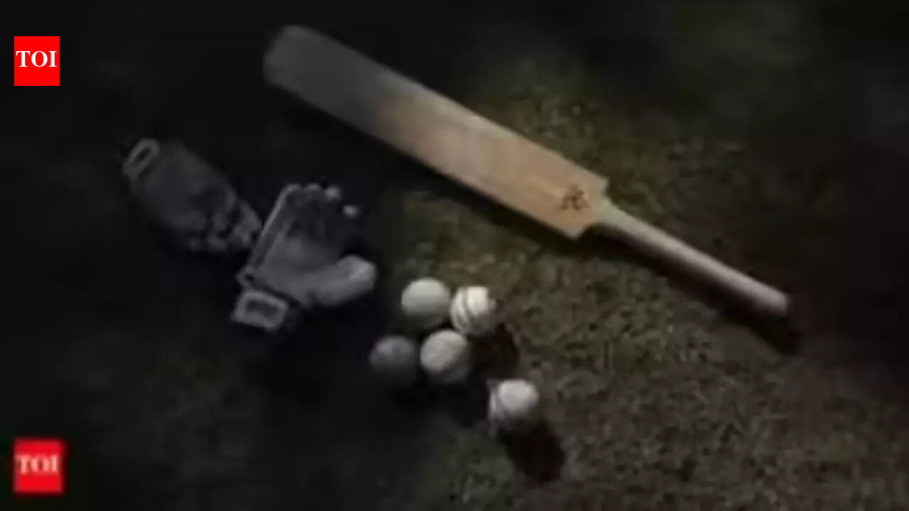 Bangladesh-born team owner Tamim Rahman gets sentenced in match-fixing case | Cricket News