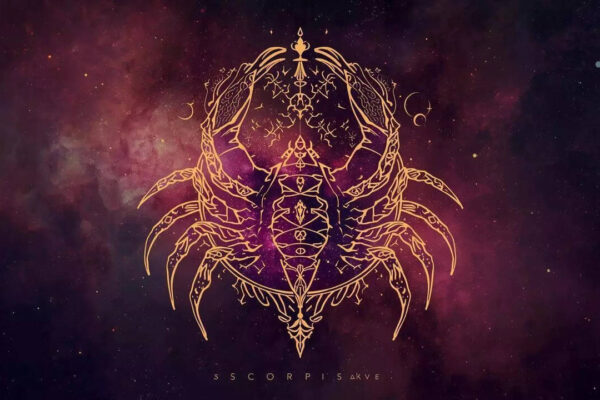 Scorpio Horoscope Tomorrow, January 29, 2026: A new connection is forming softly, nurture it straight away