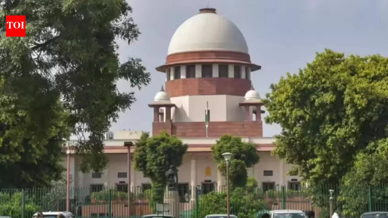 Can someone convert to avail minority quota: SC | India News