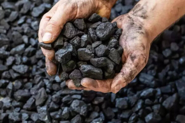 Coal to anchor India’s energy transition amid surging power demand | India News