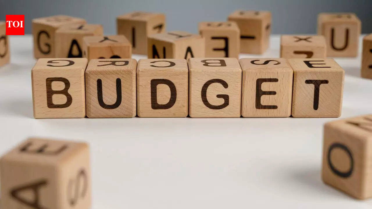 What Each Zodiac Sign Secretly Wants From the Union Budget 2026
