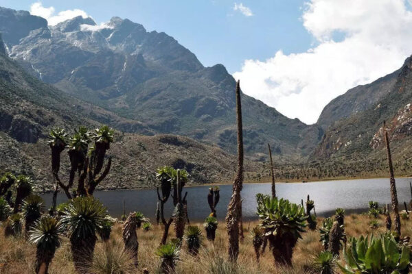 Which mountains are called the ‘Mountains of the Moon’ in East Africa and why their glaciers are shrinking fast | World News