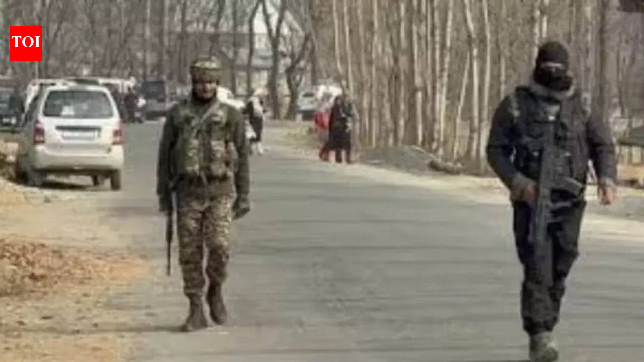 Operation Trashi-I enters Day 13, net suspended in Kishtwar | Jammu News