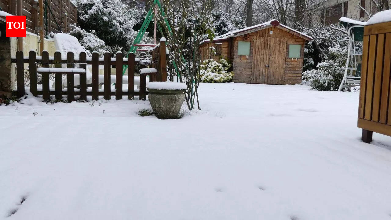 Winter warning: 7 things you should never leave outside in freezing weather