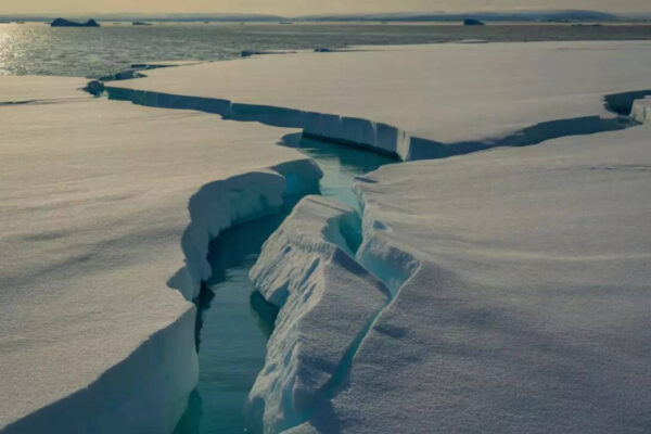 The Arctic is breaking its own climate rules, and scientists say it’s getting dangerous