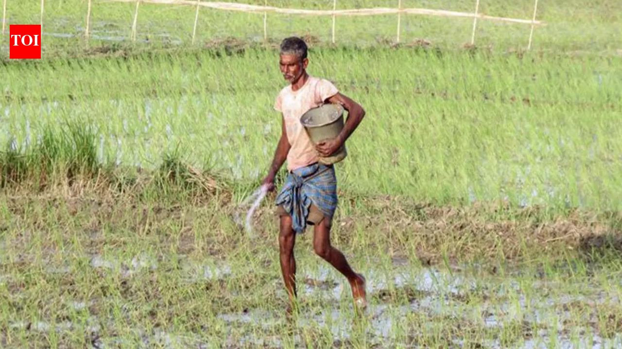 Slightly warm and dry Feb may impact Rabi crops, IMD predicts while releasing monthly temp and rainfall outlook | India News