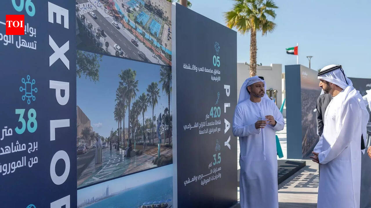 Dubai Crown Prince Sheikh Hamdan unveils Dh500m Umm Suqeim Beach makeover | World News