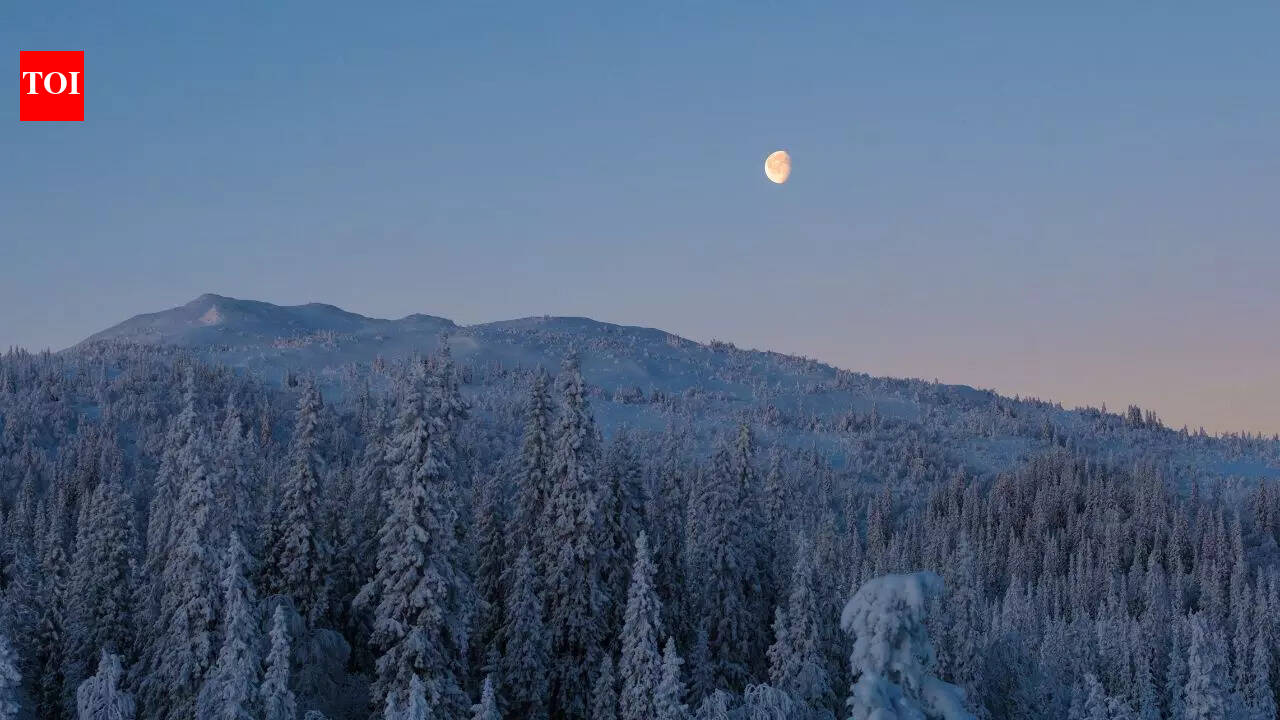 Full Moon Do’s and Don’ts For Each Zodiac Sign