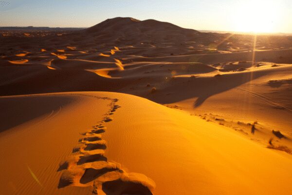 7,000-year-old mummies reveal how the world’s largest hot desert once had lakes, and forests