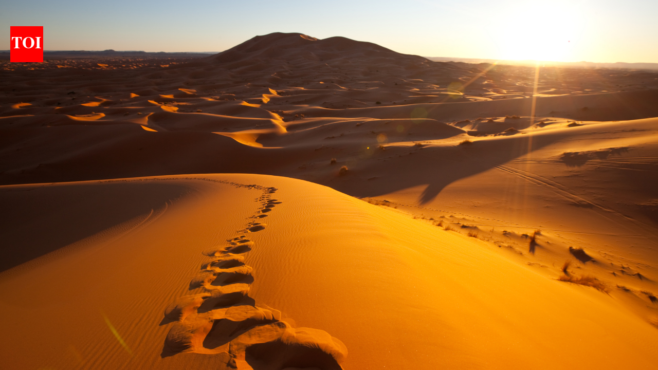 7,000-year-old mummies reveal how the world’s largest hot desert once had lakes, and forests