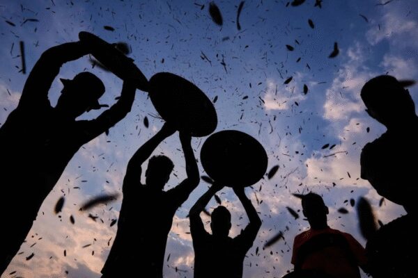 Union Budget 2026: Tech ‘vistaar’ for farmers to boost income and take better decisions