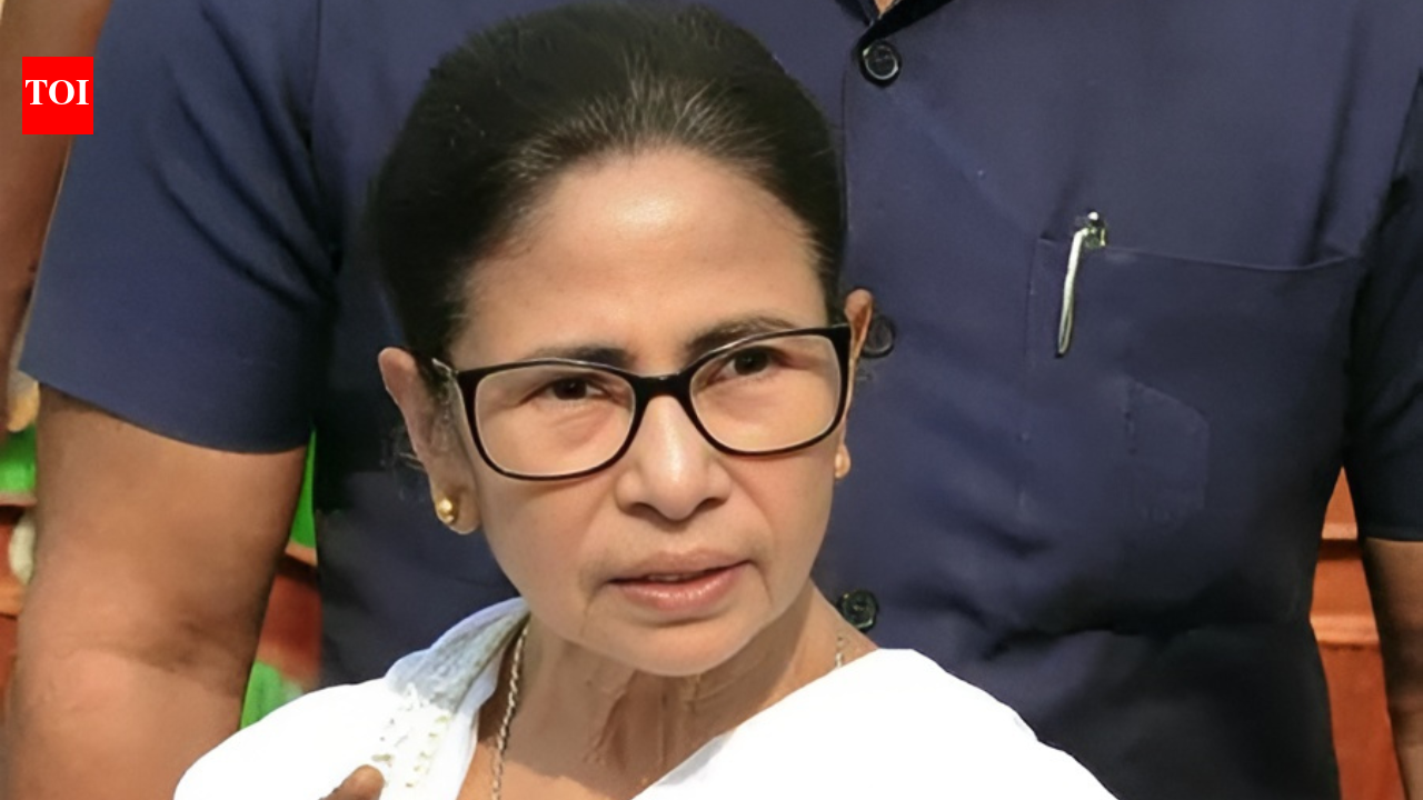 ‘Restrain yourself from atrocities’: Mamata Banerjee vs Delhi Police ahead of CEC meet over SIR