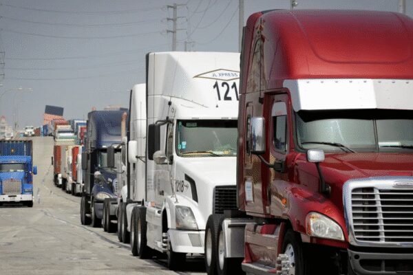 ‘Hired green card, US citizen drivers’: Sikh truck company owner after losing employees as California revoked thousands of licences