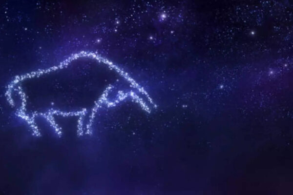 Taurus Horoscope Today, February 03, 2026: If you’re single, someone familiar may show interest