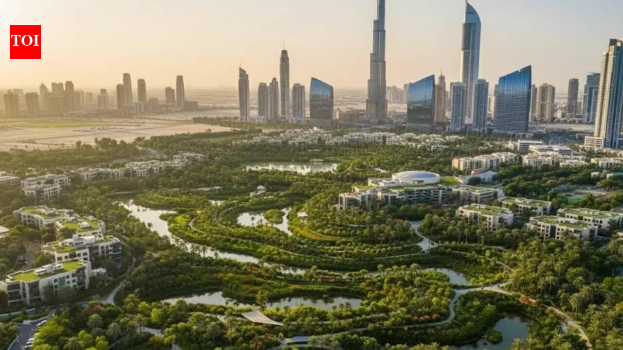 Dubai set to adopt China’s ‘Sponge City’ model — What the future city could look like? | World News