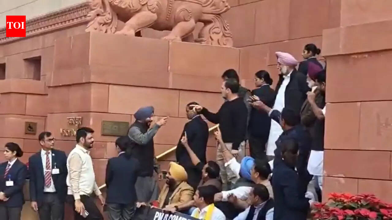 ‘Traitor’ vs ‘desh ke dushman’: Rahul, BJP’s Bittu face off outside Parliament — Watch