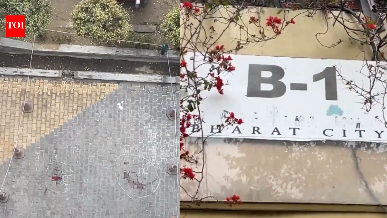 ‘Prachi was the boss’: Ghaziabad man ‘clueless’ about task-based Korean game, says daughters tossed phones and jumped