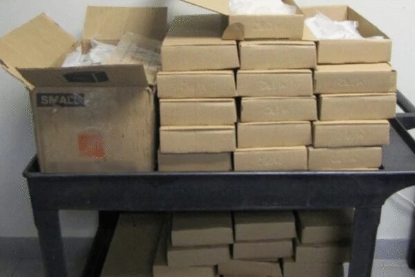 Indian-origin trucker sent to prison for 10 years for transporting cocaine worth .4 million into Canada, says will regret it for the rest of life