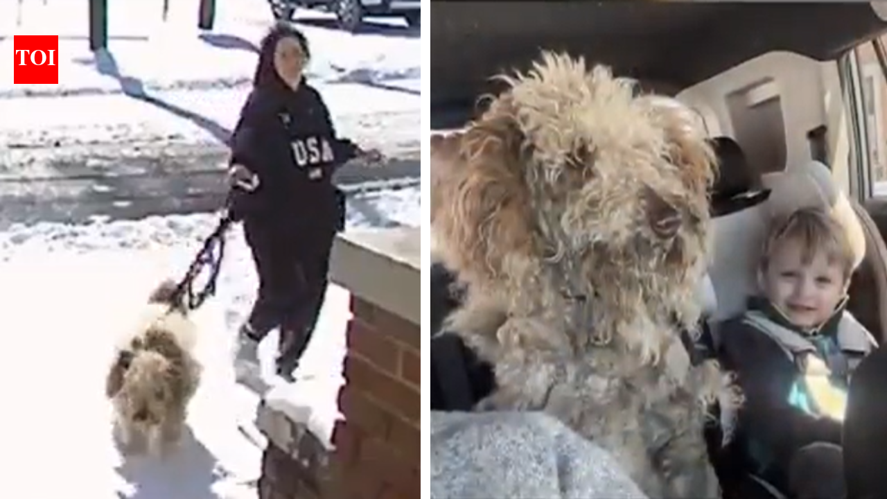 ‘Baffled and confused’: US woman faces charges for rescuing abandoned dog from freezing snowstorm