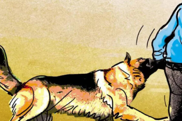 ‘J&K reported 2 lakh dog bites cases in past 2 years’