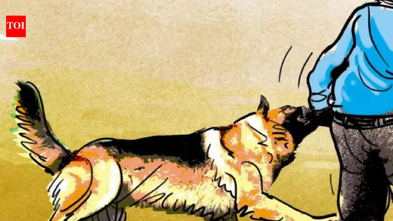 ‘J&K reported 2 lakh dog bites cases in past 2 years’