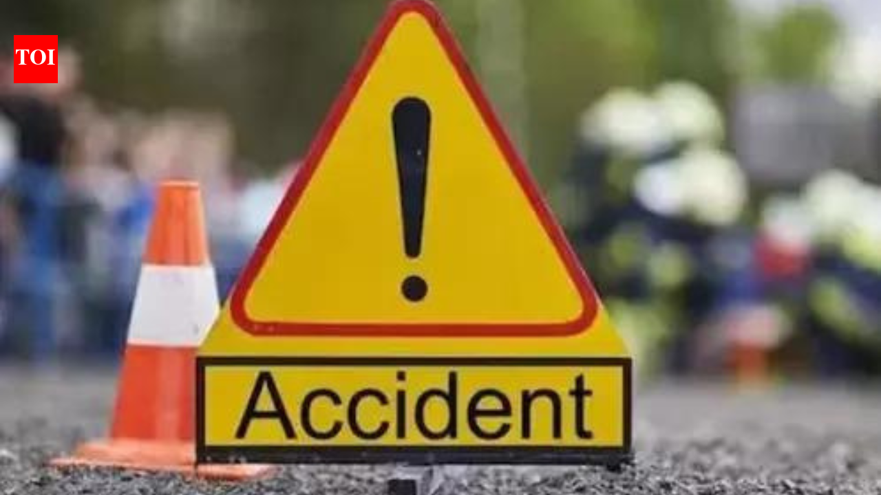 Representative image NEW DELHI: Deaths on national highways in 2025 reduced by around 11% last year — 57,482 in 2025 compared to 64,772 in 2024, road transport ministry informed the Lok Sabha on Monday, quoting the eDAR (electronic detailed accident) report.As per the written reply, UP, MP and Chhattisgarh reported a sharp decline in fatalities in accidents on NHs passing through these states. Officials said thatthe eDAR data is provisional and the exact number of fatalities would be clear by April since many succumb to injuries weeks after crashes.“However, we expect some reduction in fatalities on national highways when completely verified data is available,” said an official.The data showed that 6,973 lives were lost on highways in UP last year compared to 9,560 in 2024. Similarly, deaths on NHs in MP reduced to 2,882 in 2025 compared to 4,644 the previous year. Punjab also recorded 858 deaths on NHs last year as against 1,562 in 2024.Gujarat and Jharkhand were the only two states that reported higher deaths. In Gujarat, deaths rose from 2,192 in 2024 to 2,380 and in case of Jharkhand, fatalities rose to 1,783 in 2025 compared to 1,686 the previous year.End of ArticleFollow Us On Social MediaVideos’Casebook Study Of How To Deal With Trump’: Former Envoy On India’s Restraint Amid US Provocations’Sense Of Relief After High Tariffs’: Dhruva Jaishankar On What India US Trade Deal Changes’Is This Mohabbat Ki Dukaan?’: PM Modi Hits Out At Opposition Over ‘Modi Teri Kabr Khudegi’ Slogans’Trump Wanted Unilateral Deal With India’: Former Envoy Unpacks India-US Trade Deal AnnouncementRahul Gandhi Called Ravneet Bittu ‘Traitor’ Because He Is Sikh: PM Modi’s Big Attack’Sit And Protest’: PM Modi Unfazed By Slogans, Takes Dig At Kharge As Opposition Walks Out Of RS’PM Hiding Behind Speaker’: Priyanka Gandhi Slams Om Birla’s Remark On Modi’s Lok Sabha Speech SkipWorld Praises India-US Trade Deal: PM Modi Tells Rajya Sabha Youth Will Gain Global Opportunities’Women MPs Near PM’s Chair’: Speaker Om Birla Reveals Why PM Modi Skipped Lok Sabha Speech’India Open To Explore Commercial Merits Of Venezuela Oil Import’: MEA On Trump’s Russian Oil Claim123PhotostoriesValentine’s Day Gift Ideas According To Your Birth NumberNora Fatehi birthday special: Best fashion moments of the ‘Dilbar’ girlFrom Erica Fernandes to Upasana Singh: TV stars expose the industry’s dark side10 popular spicy dishes in the worldCraziest things people have stolen from popular tourist locations5 high-performance cars that blend beauty with engineering powerPriyanka Chopra to Katrina Kaif: 5 iconic bridal jewellery pieces that made it to wedding trousseau of Bollywood’s top divas8 quick vegetarian air fryer dishes you can make in under 10 minutesFrom a lavish house in Dubai to net worth: Tejasswi Prakash and Karan Kundrra’s luxurious lifestyle5 countries where tourist travel is extremely restricted123Hot PicksBudget 2026Gold Silver PricesParliament Budget SessionGCC Unified Visa 2026Income Tax CalculatorPublic holidays February 2026Bank Holidays februaryTop TrendingKayla NicoleAyesha CurryCardi BTravis Kelce Super Bowl PartyTyler ShoughScott ArnielNHL Trade RumorsChicago Bulls vs Toronto RaptorsJoe FlaccoChris Paul