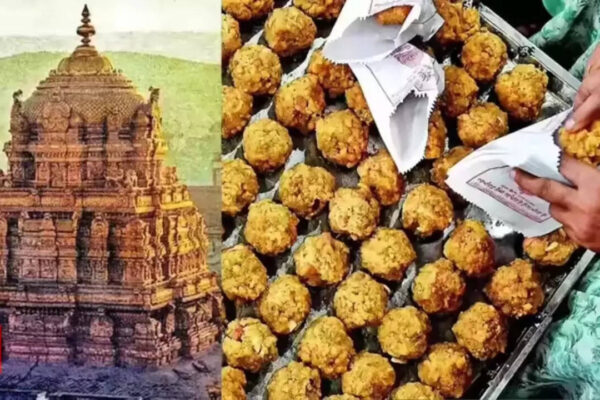 NEW DELHI: Andhra Pradesh chief minister N Chandrababu Naidu on Friday alleged that Tirupati laddus were prepared using ghee adulterated with “bathroom-cleaning chemicals” during the previous Y S Jagan Mohan Reddy–led YSRCP government.Addressing a village meeting in Kalugotla village of Kurnool district, Naidu claimed, “Ghee made out of bathroom-cleaning chemicals was used in laddus by them (the previous YSRCP government).”He alleged that the earlier regime had undermined the sanctity and prestige of Lord Venkateswara Swamy by allowing adulterated prasadam (consecrated food) to be used at the Tirumala temple. Naidu further claimed that such adulterated ghee was supplied not only for Tirupati laddus but also to the famous Srisailam temple during the YSRCP rule.Ghee mixed with chemicals was allegedly used in the preparation of laddus for nearly five years under the previous government, the chief minister added.Naidu said there are two types of chemicals used in ghee, noting that some are of vegetable origin and costlier, while animal fat is cheaper.Reiterating his charge, Naidu said the National Dairy Development Board (NDDB) report stated that animal fat was used.Responding to claims by YSRCP leaders that a CBI-led special investigation team (SIT) had given a clean chit in the case, Naidu alleged that Reddy’s uncle and former TTD chairman YV Subba Reddy himself had earlier admitted that adulteration had taken place.Naidu said his government was trying to correct the alleged wrongdoing and claimed there was a “lot of difference” between the laddus being prepared now and those made during the previous regime. He alleged that Tirumala Tirupati Devasthanams (TTD) had been desecrated due to the use of adulterated prasadam.Jagan Reddy hits backResponding to these allegations, YSRCP chief and former chief minister Y S Jagan Mohan Reddy said the CBI had given a clean chit to Subba Reddy and B Karunakar Reddy in the case.Speaking to reporters, Reddy reiterated that the CBI SIT had categorically stated that there was no adulteration of animal fat in the ghee”As claimed by (chief minister) Chandrababu Naidu there was no trace of beef tallow, lad or animal fat in the ghee supplied to TTD. Chandrababu Naidu undertook a malicious campaign to insult the sentiments of (Tirupati) Venkateswara Swamy devotees,” he said.”Not only that, the CBI also gave a clean chit to former TTD chairmen Subba Reddy and Bhumana Karunakar Reddy stating that they did not indulge in any wrongdoing,” Jagan added.However, Naidu rejected claims of a clean chit, stating that the CBI report does not certify anywhere that there was no adulteration. He further accused them of spreading false narratives and launching counterattacks to divert attention from the issue.About the AuthorTOI News DeskThe TOI News Desk comprises a dedicated and tireless team of journalists who operate around the clock to deliver the most current and comprehensive news and updates to the readers of The Times of India worldwide. With an unwavering commitment to excellence in journalism, our team is at the forefront of gathering, verifying, and presenting breaking news, in-depth analysis, and insightful reports on a wide range of topics. The TOI News Desk is your trusted source for staying informed and connected to the ever-evolving global landscape, ensuring that our readers are equipped with the latest developments that matter most.”Read MoreEnd of ArticleFollow Us On Social MediaVideosWeeks After Noida Techie’s Death, Delhi Biker Dies After Falling Into Pit Dug By Jal BoardIndia Stands Firm On Chabahar Despite US-Iran Tensions And A Sanctions Threat, Tehran Backs DelhiFormer DGMO Lt Gen A.K. Bhatt Reveals How India Stopped China In Doklam: ‘We Used BRO Dozers…’From Exam Stress to Life Skills: PM Modi Engages Students in Pariksha Pe Charcha 2026Deadly Blast At Shia Religious Centre In Islamabad Raises Questions On Pakistan’s Security Failures’New Phase In Bilateral Ties’: Indian High Commissioner Hails PM Modi’s ‘Historic’ Malaysia VisitNorway PM Questions World War II-Era UNSC, Echoes India’s Demand For Reform And Global South VoiceAs Bangladesh Elections Near, Hindu Minority Faces Rising Attacks, Islamist Return And State SilenceBeyond Tariffs: The India–US Deal and the Politics of OilIndia To Push For Tech Defence And Zakir Naik Extradition During PM Modi’s High Stakes Malaysia Trip123PhotostoriesZendaya’s fashion evolution: A journey from girly pop to red carpet icon5 homemade, chemical-free ant killer sprays; effective DIY methodsInside Rohit Sharma’s premium car collection: 5 high-end luxury cars he owns10 iconic rajma dishes enjoyed across the globeApple TV shows to look forward to in 2026: ‘Imperfect Women’, ‘Margo’s Got Money Troubles’ and morePrince Narula, Tejasswi Prakash, and more: Can you guess these reality TV stars from their childhood picsThe mystery behind Leonardo da Vinci’s lost masterpieces and what historians sayFall in love, Bollywood style: 5 saree looks perfect for Valentine’s Day‘Vadh 2’ star Neena Gupta’s 5 unfiltered views on motherhood and living life her wayTop 1% habits that make people respect you instantly123Hot PicksBudget 2026Gold Silver PricesParliament Budget SessionGCC Unified Visa 2026Income Tax CalculatorPublic holidays February 2026Bank Holidays februaryTop TrendingGCC Unified VisaRamadan 2026Golden State Warriors vs Phoenix Suns InjuryPhiladelphia 76ers vs Los Angeles Lakers injury reportNFL Trade RumorsMyles Garrett GirlfriendSuryakumar YadavGhaziabad Suicide CaseJim BentT20 World Cup