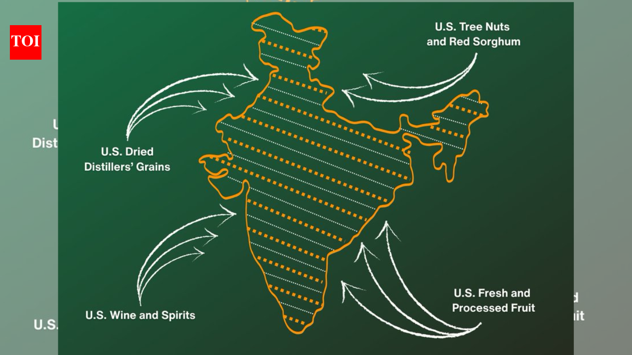 NEW DELHI: As New Delhi and Washington announced the framework for an interim trade agreement on Saturday, a map of India released by the US trade representative’s (USTR) office drew attention.The map, shared alongside details of the trade deal framework, shows the entire Jammu and Kashmir region – including Pakistan-occupied Kashmir (PoK) – as part of India. It also depicts Aksai Chin, a region claimed by China, within Indian territory.In a post on X US trade representative said, “From tree nuts and dried distillers’ grains to red sorghum and fresh and processed fruit, the US-India Agreement will provide new market access for American products.While India has consistently maintained that Jammu and Kashmir is an integral part of the country and does not require external validation of its sovereignty, the depiction marks a departure from earlier US government maps, which typically showed the other claims as a part of the map.The timing of the map release is notable, coming as India and the US are moving to better the trade ties following months of speculation.Earlier this year, the Trump administration imposed a 50% tariff on Indian goods, including an additional 25% for Russian oil imports – the highest levied on a US ally – amid stalled trade negotiations. Under the interim framework announced, that tariff is set to be reduced to 18%, one of the lowest among Asian countries.The map also shows Aksai Chin, located in eastern Ladakh, as part of India. China claims the territory and has objected to India’s position, a dispute that has remained a sensitive issue in bilateral ties between New Delhi and Beijing.Signal to IslamabadThough the USTR did not comment on the map, it comes as an embarrassment for Pakistan, which claims PoK. The release also comes amid sustained diplomatic outreach by Pakistan to Washington in recent months, including multiple visits by Pakistan’s PM Shehbaz Sharif and army chief, Asim Munir, and meetings with President Trump.The interim trade pact, expected to be signed by mid-March, is aimed at easing trade tensions and providing relief to Indian exporters after months of uncertainty.About the AuthorTOI News DeskThe TOI News Desk comprises a dedicated and tireless team of journalists who operate around the clock to deliver the most current and comprehensive news and updates to the readers of The Times of India worldwide. With an unwavering commitment to excellence in journalism, our team is at the forefront of gathering, verifying, and presenting breaking news, in-depth analysis, and insightful reports on a wide range of topics. The TOI News Desk is your trusted source for staying informed and connected to the ever-evolving global landscape, ensuring that our readers are equipped with the latest developments that matter most.”Read MoreEnd of ArticleFollow Us On Social MediaVideos’Home-Grown Ills’: Islamabad Mosque Blast Triggers Blame Game As India Rejects Pakistan’s BlameEx-US Official Raymond Vickery Says India Outsmarted Donald Trump Chaos By Sticking To Trade ProcessEx-US Official Raymond Vickery Backs India Red Line On Russian Oil As US Trade Deal Drops MentionIndia-US Trade Deal Explained: What The White House Says On Tariffs, Markets And Tech ShiftsPM Modi Calls India-US Trade Pact Framework Great News For Jobs, Make In India And Exports’We Were Preparing For War’: Former DGMO Reveals Inside Story Of India-China Doklam Stand-OffGrand Welcome To Dance Record: Indian Diaspora Gears Up For PM Modi’s Malaysia VisitWeeks After Noida Techie’s Death, Delhi Biker Dies After Falling Into Pit Dug By Jal BoardIndia Stands Firm On Chabahar Despite US-Iran Tensions And A Sanctions Threat, Tehran Backs DelhiFormer DGMO Lt Gen A.K. Bhatt Reveals How India Stopped China In Doklam: ‘We Used BRO Dozers…’123PhotostoriesTop 10 iconic Japanese fast foods you need to try at least once7 must-try winter street foods in ChandigarhUpcoming OTT releases for this week: ‘Kohrra Season 2’, ‘The Lincoln Lawyer Season 4,’ and moreTop luxury trekking motorbikes in 2026: Premium rides for rugged adventuresIndia’s major snow-fed rivers: Waterways that have shaped India’s landscape7 irresistible mutton dishes from Jammu and Kashmir that are a must-try in winterWhat happens if the builder does not follow the RERA order?5 national parks in India that are a part of iconic elephant reserves9 things you should avoid buying on Saturday, according to tradition5 things we should never take back from a beach trip123Hot PicksBudget 2026Gold Silver PricesParliament Budget SessionGCC Unified Visa 2026Income Tax CalculatorPublic holidays February 2026Bank Holidays februaryTop TrendingSuper Bowl TrophyCooper Kupp WifeKayla NicoleSuper Bowl LX TicketOliver RowlandJustin GaethjeLIV GolfLiam Paro vs Paddy Donovan Net WorthWinter Olympics 2026NBA Trade Update