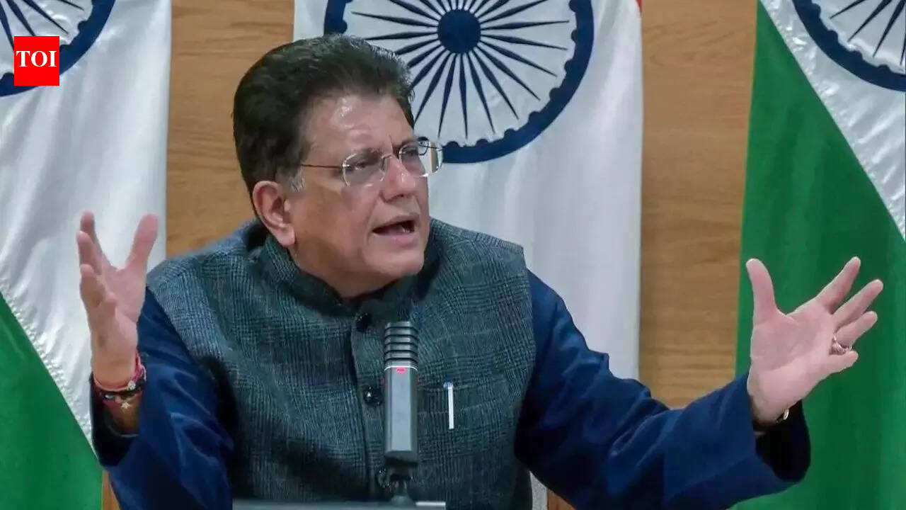 ‘Will not hurt farmers, MSMEs’: Piyush Goyal says India ‘fully protected’ in US trade deal