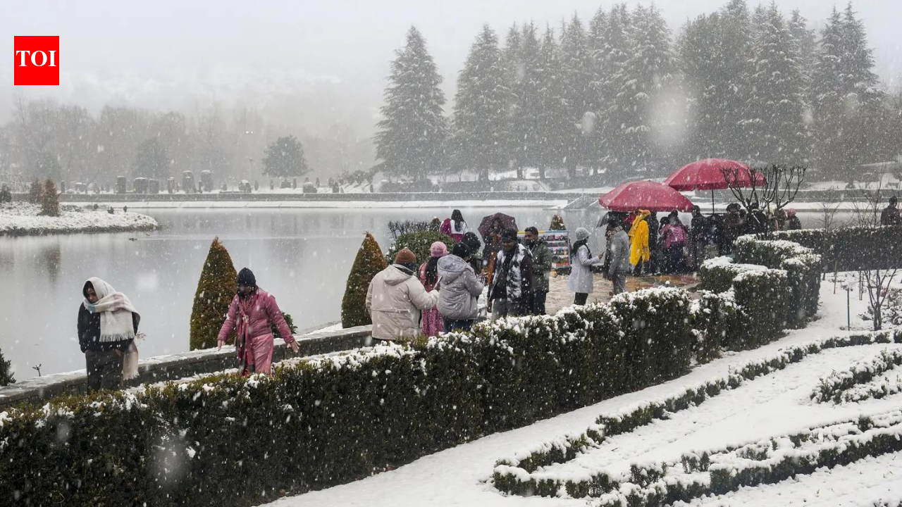 JAMMU: Over 1.7 crore tourists visited Jammu & Kashmir in 2025, including over 36,000 foreign visitors, the govt informed the assembly on Saturday.In a written reply to a starred question raised by Hasnain Masoodi, MLA, the tourism department gave out a figure of 1,77,65,390 tourists having visited the Union territory between Jan 1 and Dec 31 of 2025. Of them, 36,410 are international travellers, while 1,77,28,980 are domestic tourists.Replying to a question whether the govt has fixed targets for the number of international and domestic tourists visiting J&K in 2026, the govt stated that no specific targets have been fixed by the tourism department, adding that, “Sustained and concrete efforts are being made to enhance tourist inflow, both domestic and international, over the existing numbers through various promotional and developmental initiatives.”On the resumption of international flights from Srinagar airport, the govt replied that Sheikh-ul-Alam International Airport, Srinagar, is fully equipped with all necessary infrastructure and facilities to handle international flight operations, including immigration, customs, security, and passenger handling arrangements.“The commencement of international flights is subject to the operational and commercial decisions of the respective airlines. The airport remains fully prepared at all times to facilitate international flight operations as and when airlines decide to commence them,” the govt stated.Regarding the Home Stay initiative and challenges related to it, the govt said the initiative has been largely successful, enhancing accommodation capacity, generating local employment and encouraging community participation in tourism. “Given its positive impact, the programme is likely to be expanded to other potential areas,” the govt said.“The major challenges faced include lack of awareness, capacity constraints, and infrastructure related issues, which are being addressed through awareness campaigns, capacity-building initiatives, and coordination with the departments concerned for infrastructure support,” the govt said.End of ArticleFollow Us On Social MediaVideosIndia Reiterates Energy Security Priority, Signals Russia Oil Imports Will ContinueGhaziabad Sisters’ Deaths: Father’s Three Marriages Add Twist To Probe“Deal Favours US farmers” Opposition Attacks India-US Trade FrameworkFrom Tamil Pride To Global Trust: How PM Modi Used Culture To Reset India-Malaysia RelationsPM Modi In Kuala Lumpur Says India Malaysia Ties Are Rising, Unveils IMPACT Vision For Asia”To Benefit Farmers….” Shivraj Singh Chouhan Big Claim On India-US Trade DealPiyush Goyal Says Agriculture Is Self Reliant Sector As India Refuses Farm Import Benefits To USFrom Design To Silicon, India Signals Semiconductor Breakout With Semicon 2.0 RoadmapMP Minister Vijay Shah Finally Apologises For Comment Targeting Op Sindoor Face Col Sofia QureshiTurkey Sides With Pakistan On Kashmir At UN After Sharif’s Rhetoric On India’s ‘Integral’ Territory123PhotostoriesExclusive – Yuvika Choudhary on The 50: I took a break after my daughter’s birth to be there for her; now it’s time for me to return as a working momHow Taylor Swift turned fashion into her signature storytelling powerMukaish to Rabari: Underrated embroidery techniques in India that deserve more attention7 most colourful birds of Indian forestsThe 50: Major Fights That Grabbed Attention5 luxury sports cars that combine comfort with extreme powerThomas Edison once said, “I’ve not failed, I’ve just found 10,000 ways that won’t work”: 4 lessons it teaches students6 celebrities who called out social media as ‘toxic’: Tom Holland, Selena Gomez, Kate Winslet, and moreThe ultimate footwear checklist every girl needs in her closet5 mistakes to avoid when investing in under-construction projects123Hot PicksBudget 2026Gold Silver PricesParliament Budget SessionGCC Unified Visa 2026Income Tax CalculatorPublic holidays February 2026Bank Holidays februaryTop TrendingIndia vs USA LiveCooper Kupp WifeKayla NicoleSuper Bowl LX TicketOliver RowlandJustin GaethjeLIV GolfLiam Paro vs Paddy Donovan Net WorthWinter Olympics 2026NBA Trade Update