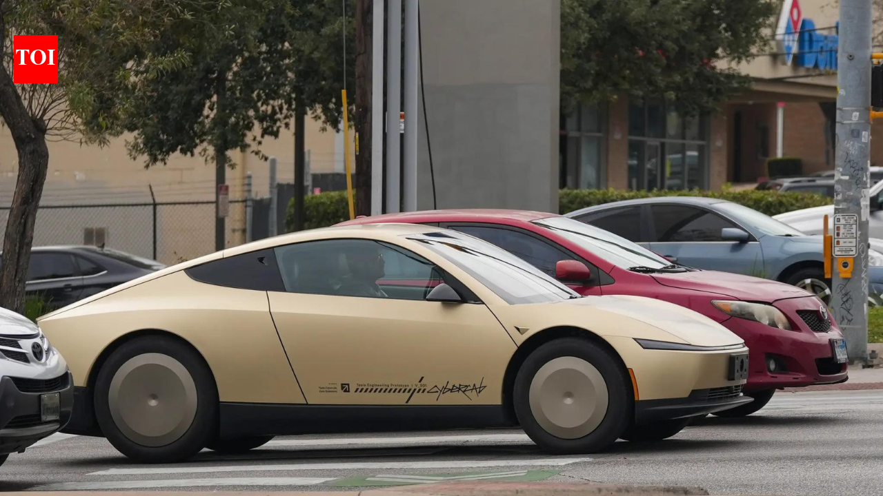 India-US trade deal: Harley, Tesla to benefit, but no risk to desi firms