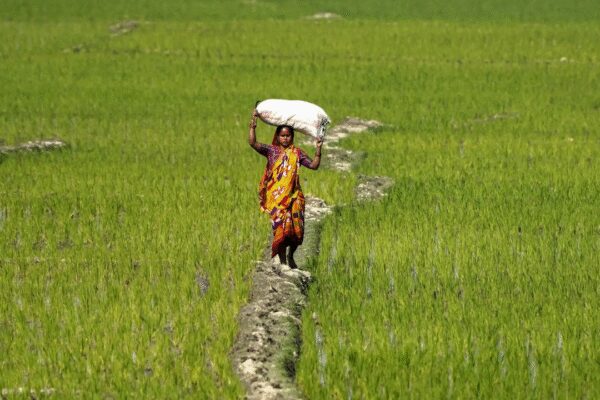 India offers limited access to agri goods; protects staples, dairy