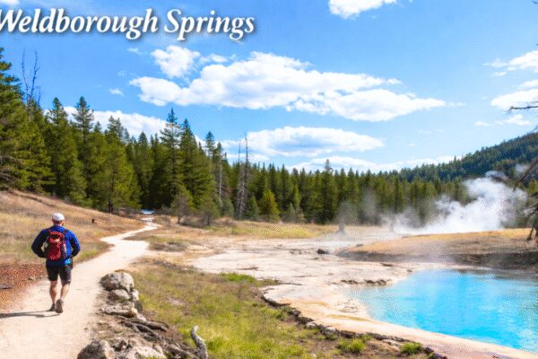 AI content on Australian tour website sends tourists chasing hot springs that don’t exist |