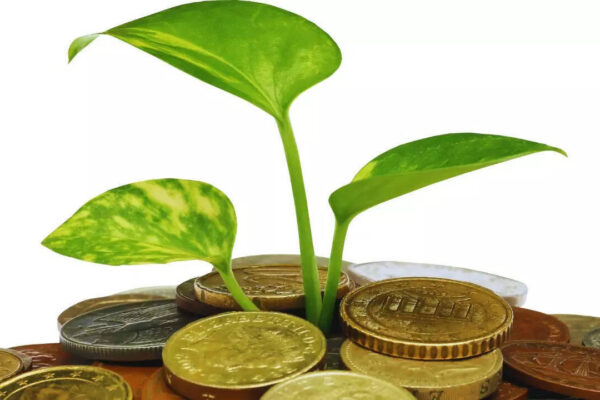 5 Vastu-approved plants you should bring home today for prosperity