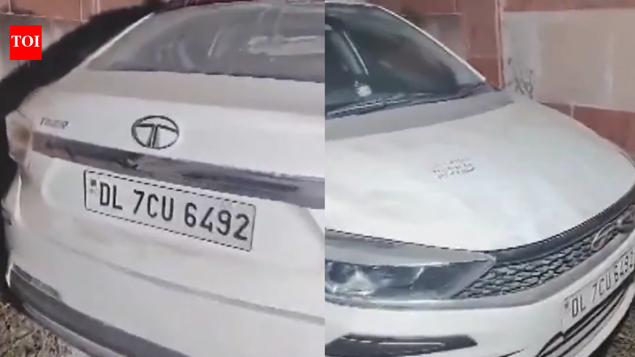 Triple suicide? 3 found dead in car parked near west Delhi flyover; ‘poisonous’ smell detected in vehicle