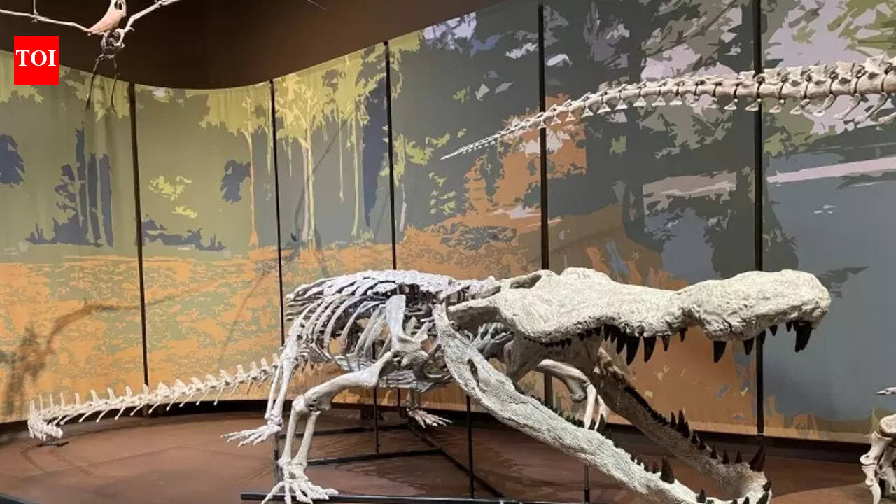 Scientists reconstruct a 31-foot crocodilian nicknamed “Dinosaur-killer”