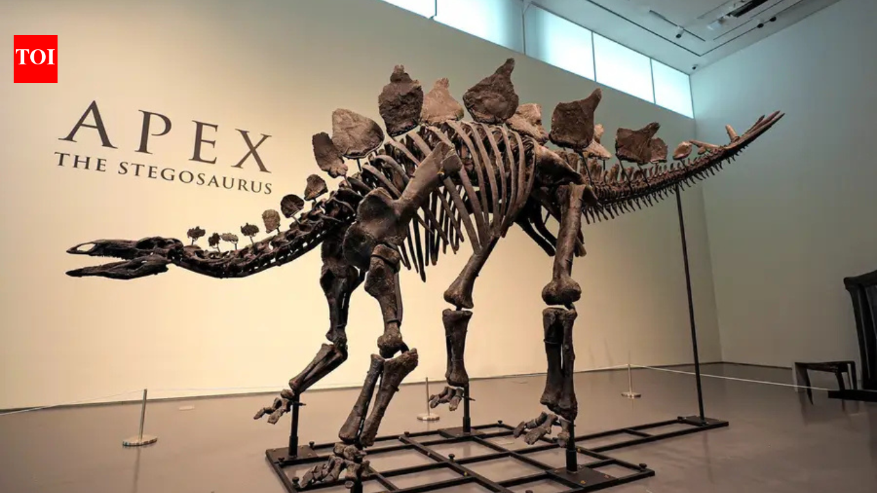 Dinosaur fossil sold for record .6 million: Why billionaires are racing to buy prehistoric giants