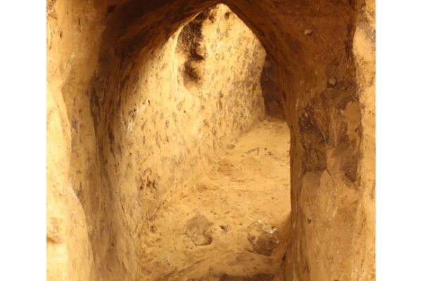 Mysterious tunnels found beneath 5,000-year-old pagan graves in Germany leave experts stunned | World News