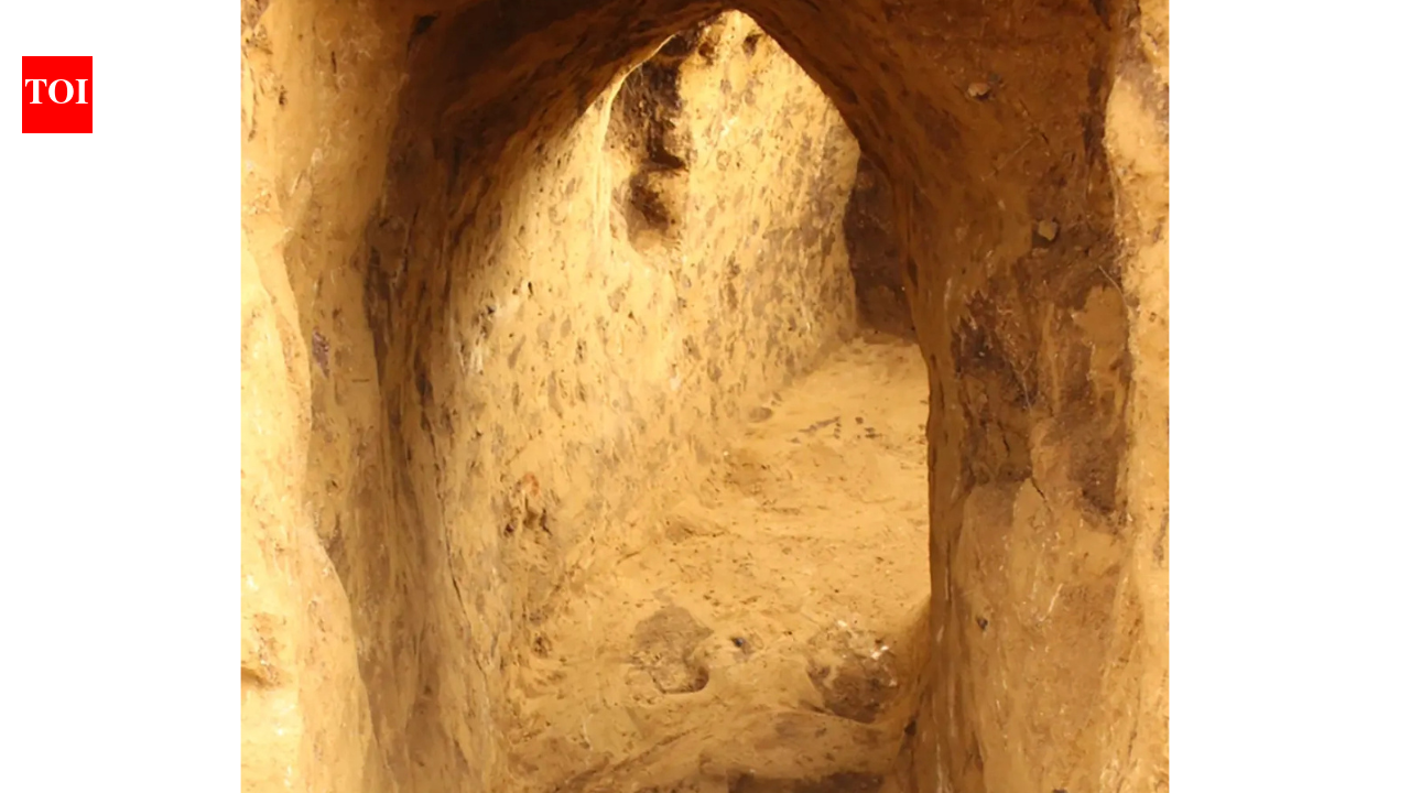 Mysterious tunnels found beneath 5,000-year-old pagan graves in Germany leave experts stunned | World News