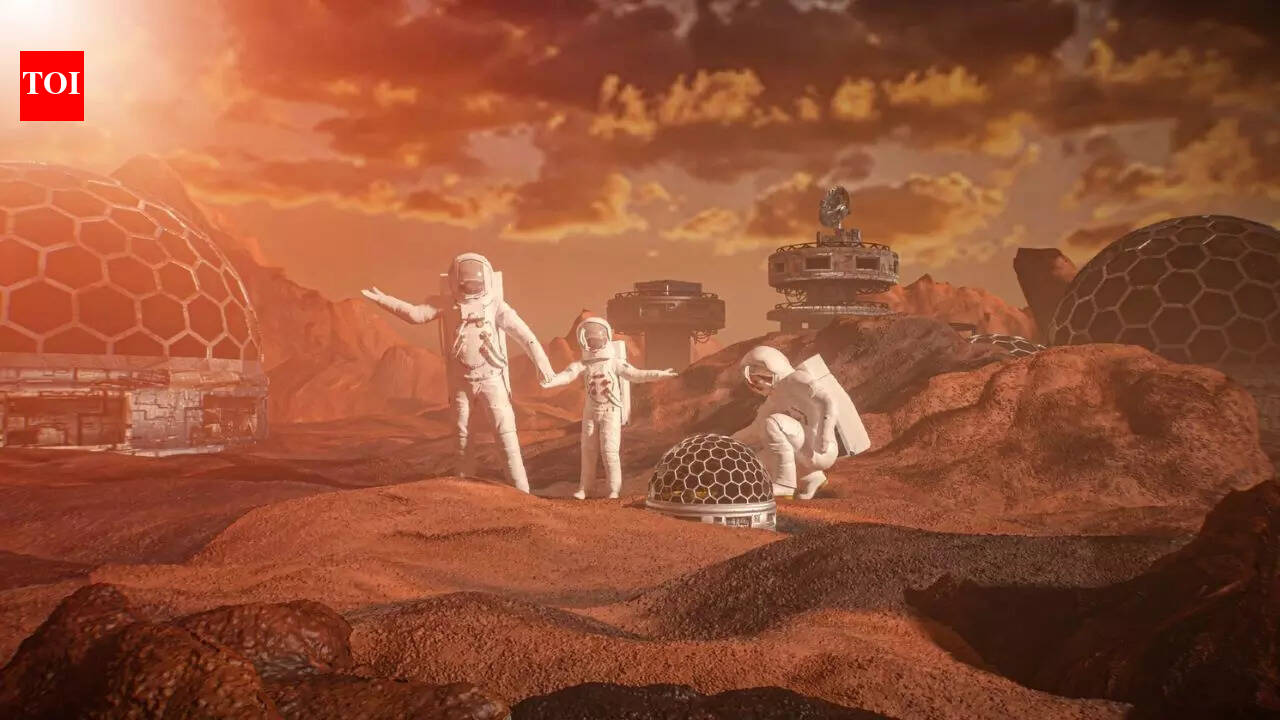 Can humans have babies in space? What researchers say might shock you