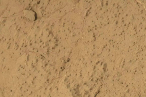 NASA Curiosity rover detected the largest organic molecules ever found on Mars, revealing ancient life clues