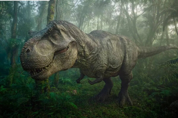 New study suggests the T-Rex dinosaur grew in a very different way than previously thought