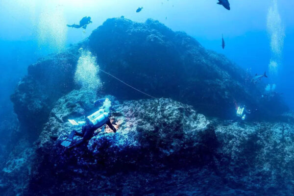 Explore the underwater mountain where sharks rule and a hidden ocean life comes alive