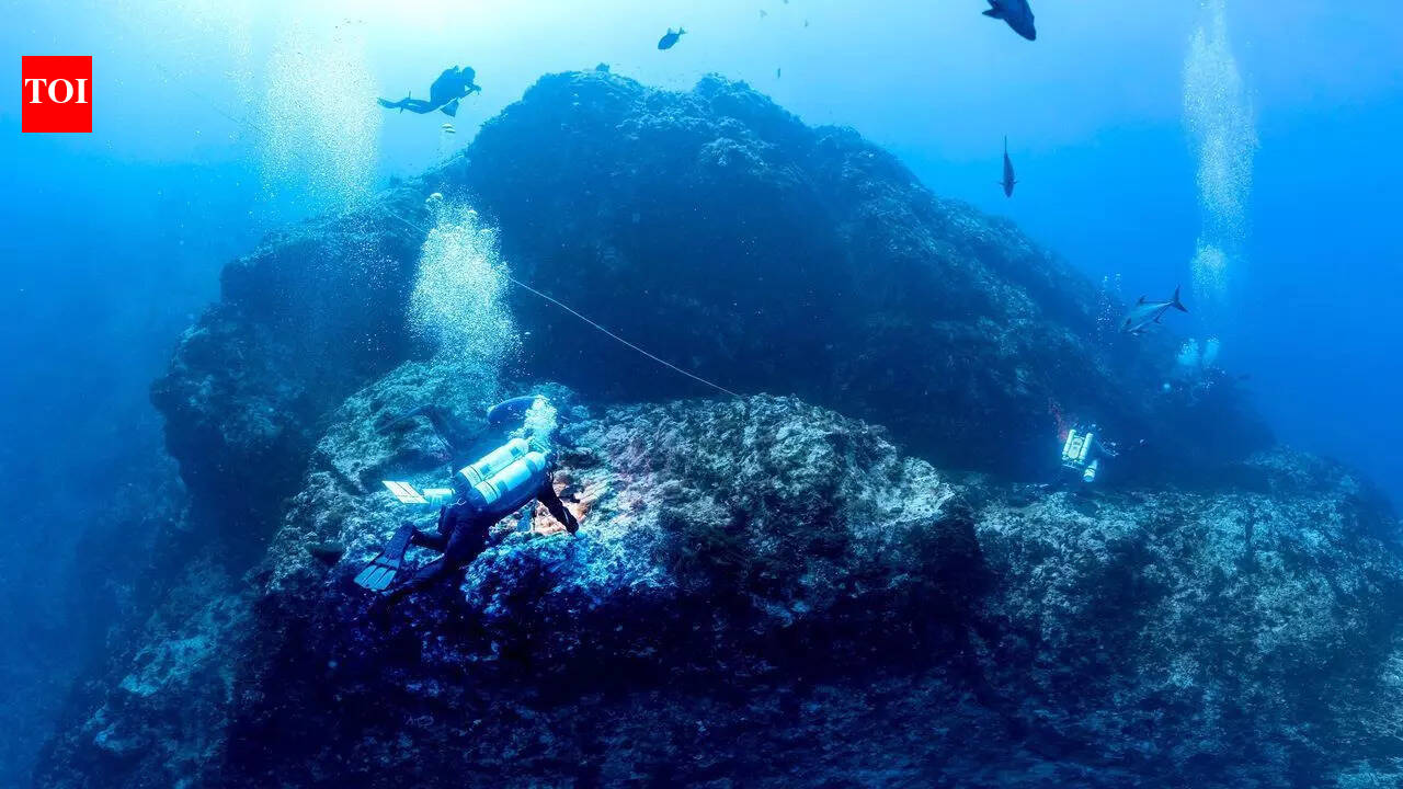 Explore the underwater mountain where sharks rule and a hidden ocean life comes alive