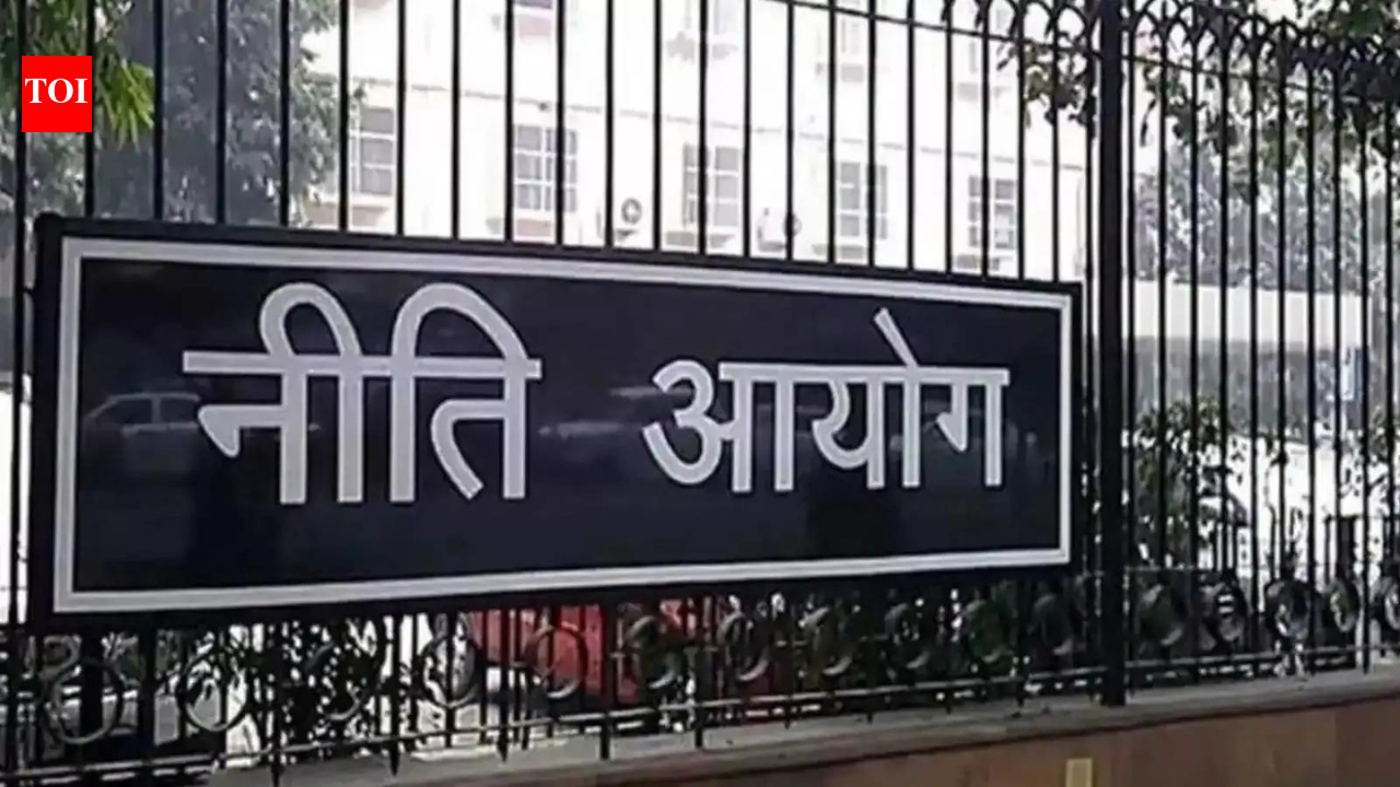 India needs .23 trillion investment in power sector by 2070 to meet net-zero goal: Niti Aayog