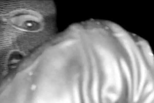 Nancy Guthrie disappearance: FBI releases first footage of masked person caught on doorbell camera