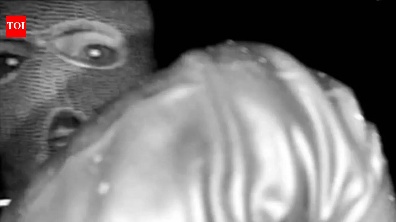 Nancy Guthrie disappearance: FBI releases first footage of masked person caught on doorbell camera